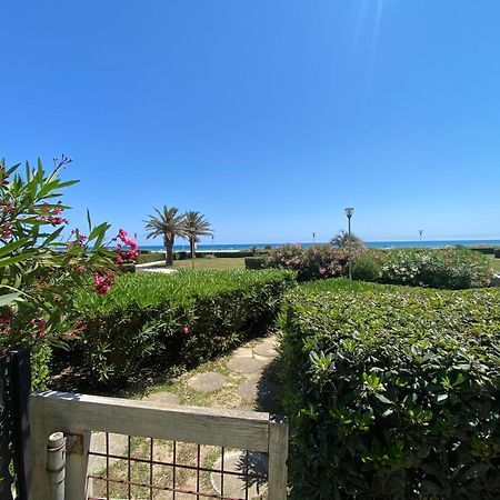 Les Pieds Dans L'Eau Apartment Canet-en-Roussillon Exterior photo